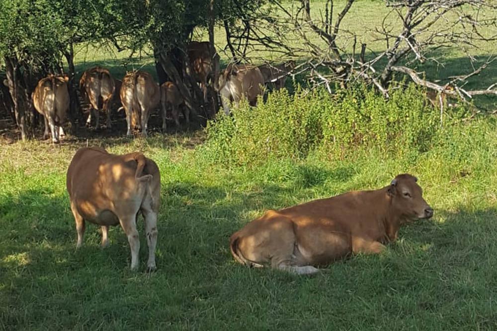 Ebbes-von-hei Saarland Hunsrück Kessler- Hof