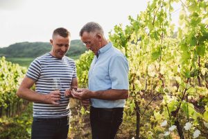 Ebbes-von-hei Saarland Hunsrück Weingut Peter Greif