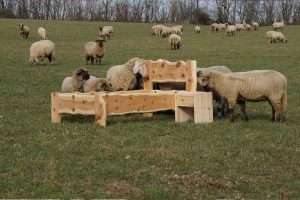 Ebbes-von-hei Saarland Hunsrück Adams Schreinerei